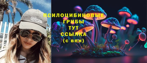каннабис Арсеньев